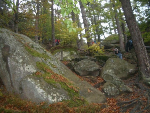 40. na skalách