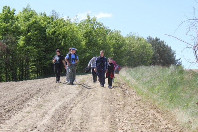 60. cesta dolů