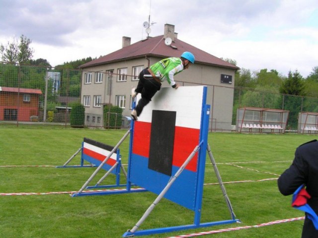 29. Vojta